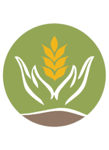 Estação Dashen